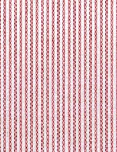Stripe Oxford Red Fabric