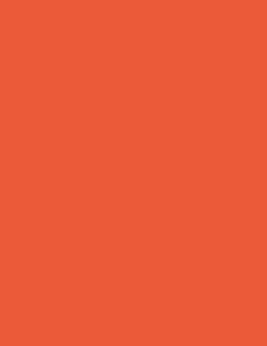 Orange Broadcloth Poplin